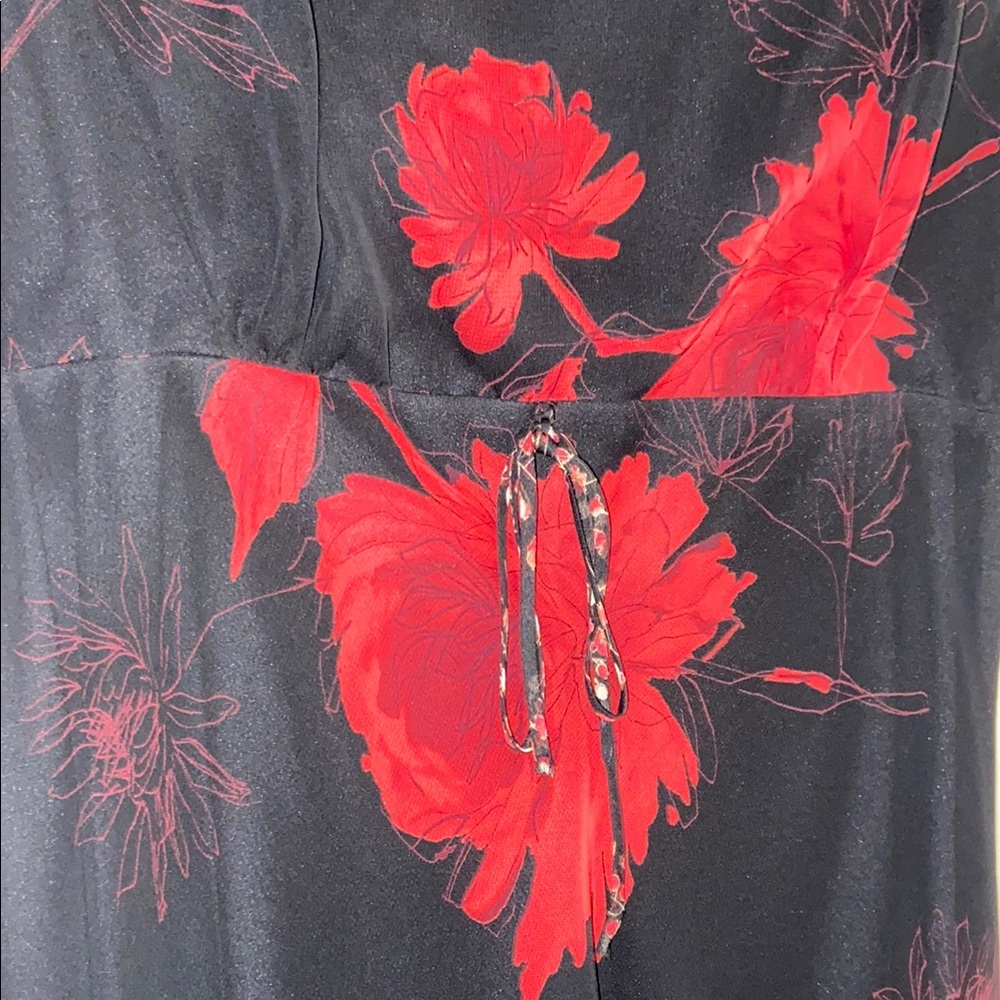 Black and Red Floral Dress - Picture 3 of 4